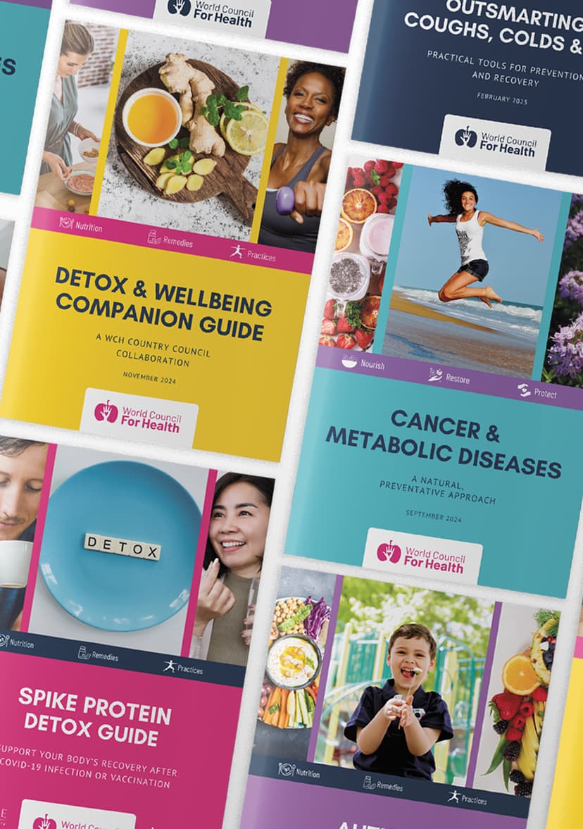 HEALTH GUIDE BUNDLE - Strategies for your Health & Wellness